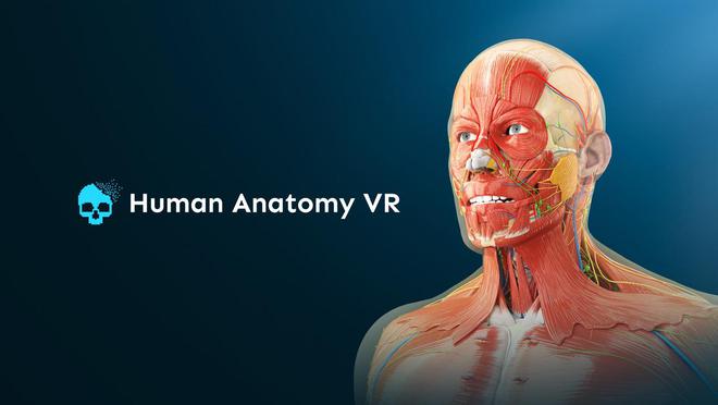 SteamVR年度黑马盘货：10款小众但封神的2025VR游戏(图8)